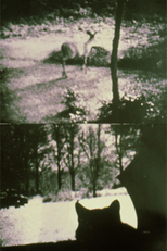 Kitch's Last Meal (Kitch's Last Meal)