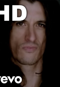 Aerosmith: Falling in Love (Is Hard on the Knees) (Aerosmith: Falling in Love (Is Hard on the Knees))