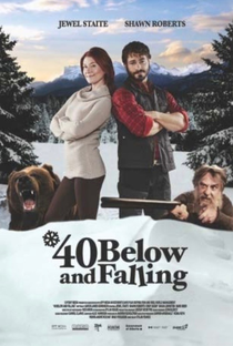 40 Below and Falling - Poster / Capa / Cartaz - Oficial 1