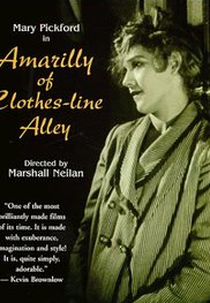 Amarilly Of Clothes Line Alley (Amarilly Of Clothes Line Alley)