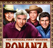 Bonanza (1ª Temporada)