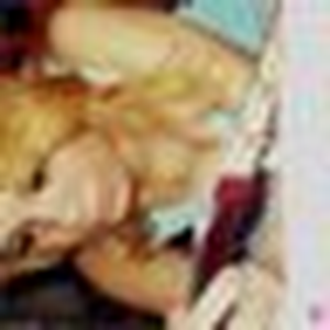 Foto de perfil de Diana Paiva ♔