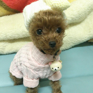 Foto de perfil de ☆ Beri ☆