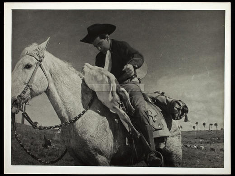 Foto 5 de Homens sem Paz