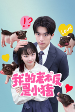 我的老板是小猪 (我的老板是小猪)