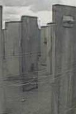 Um Vídeo Chamado Brasil  (Brasil)