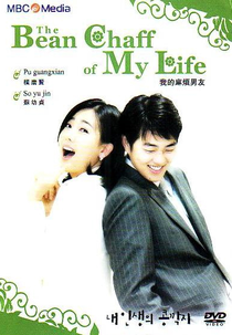 The Bean Chaff of My Life (Nae Insaengui Kongkkakji)