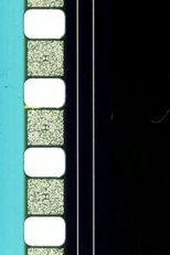 The Quick Brown Fox Jumps Over the Lazy Dog (The Quick Brown Fox Jumps Over the Lazy Dog)