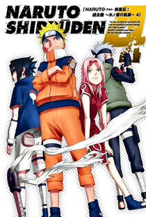 Naruto Shippuden (9ª Temporada) - Poster / Capa / Cartaz - Oficial 2
