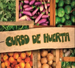 Curso de Horta