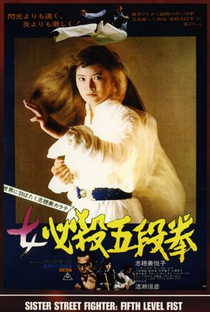 Sister Street Fighter: Fifth Level Fist - Poster / Capa / Cartaz - Oficial 1