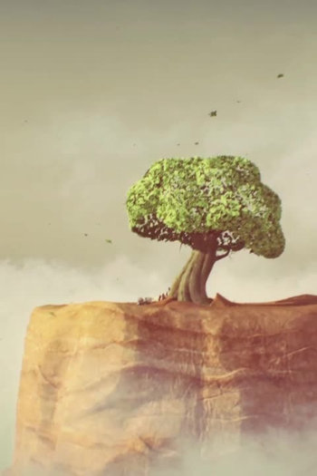  de Curta Tabula Rasa (2011)