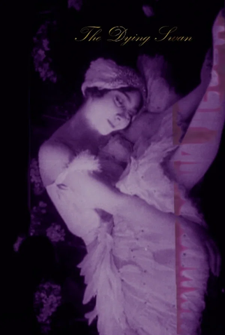 Poster 2 de Filme A Morte do Cisne (1916)