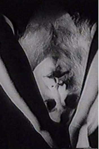 Poster de Curta May (1936)