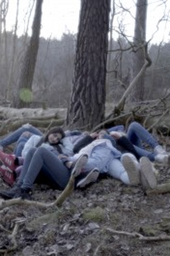 Poster de Filme Shapeshifters (2016)