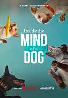 Dentro da Mente de um Cachorro (Inside the Mind of a Dog)