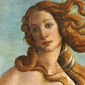 Foto de perfil de Lane.