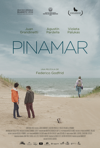 Poster 1 de Filme Pinamar (2016)
