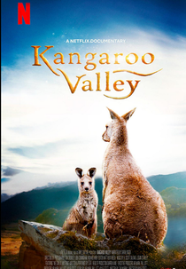 Vale dos Cangurus (Kangaroo Valley)