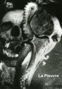 La Pieuvre (La pieuvre)