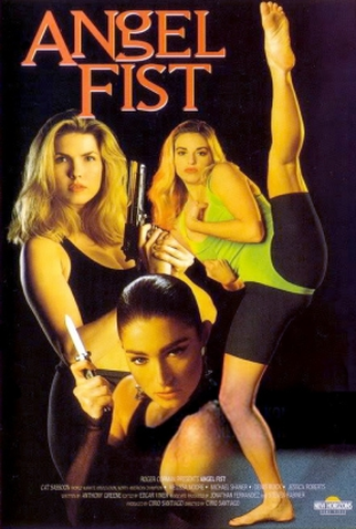 Poster 1 de Filme Punhos de Vingança (1993)