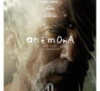 Anêmona