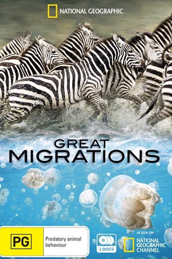 Poster de Série Grandes Migrações (2010)