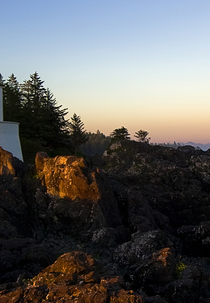 Les sentinelles (Les sentinelles)
