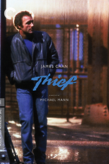 Profissão, Ladrão (Thief)