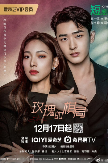 Poster de Série Two Foxes (2024)