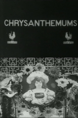 Chrysanthemums (Les chrysanthèmes)