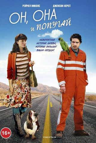 Poster 3 de Filme Papagaio no Ar (2011)