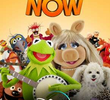 Agora Muppets (1ª Temporada)