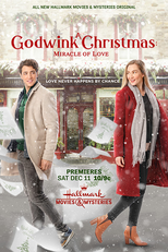 A Godwink Christmas: Miracle Of Love (A Godwink Christmas: Miracle Of Love)
