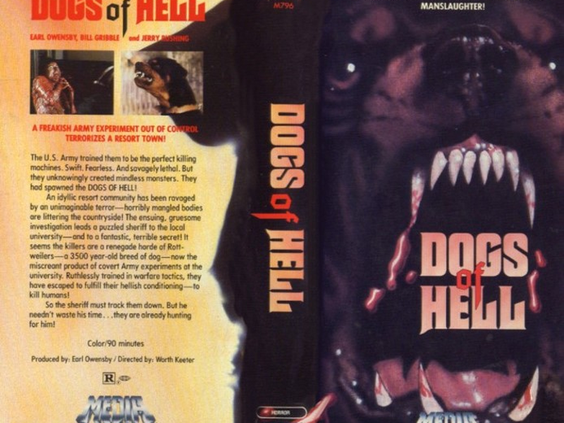 Foto 1 de Cães do Inferno