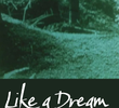 Like a Dream that Vanishes
