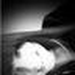 Foto de perfil de Larissa Rocha