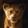 Saiu o PRIMEIRO TRAILER do live-action de O Rei Leão!