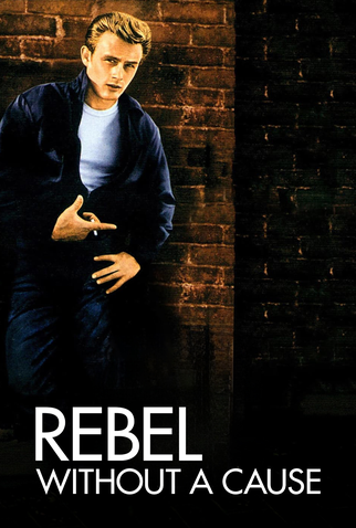 Poster 16 de Filme Juventude Transviada (1955)