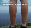 Anatomy of the Tide
