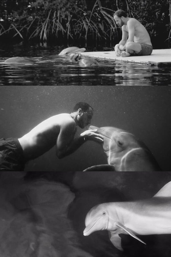 Poster de Curta Dolfun (2016)