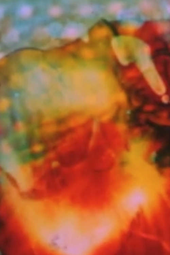 Poster de Curta Bagatelles (1977)