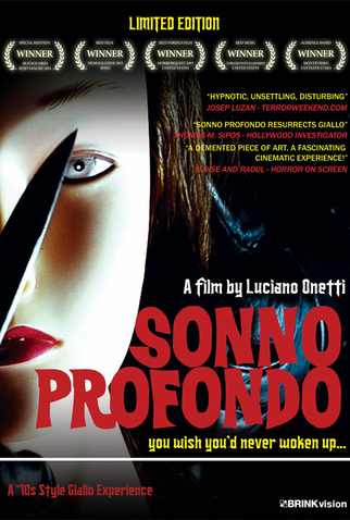 Poster 1 de Filme Sonno Profondo (2013)