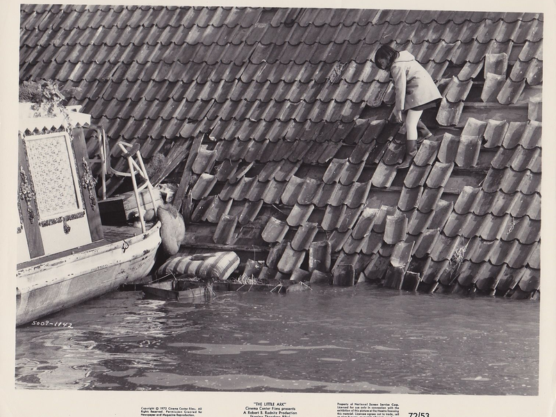 Foto 19 de Os Órfãos