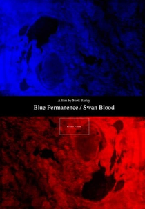 Blue Permanence / Swan Blood (Blue Permanence / Swan Blood)
