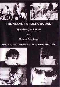 The Velvet Underground and Nico (The Velvet Underground and Nico)