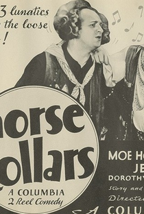 Um Cavalo e Três Cavalgaduras - Poster / Capa / Cartaz - Oficial 1