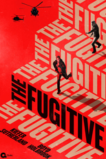 O Fugitivo (1ª Temporada) (The Fugitive (Season 1))