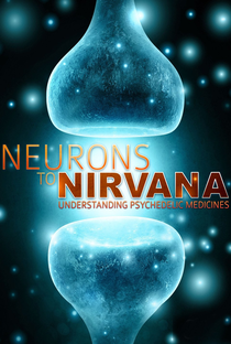 Neurônios ao Nirvana - Poster / Capa / Cartaz - Oficial 2