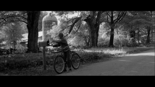 Trailer: A Tree A Rock A Cloud - Trailer